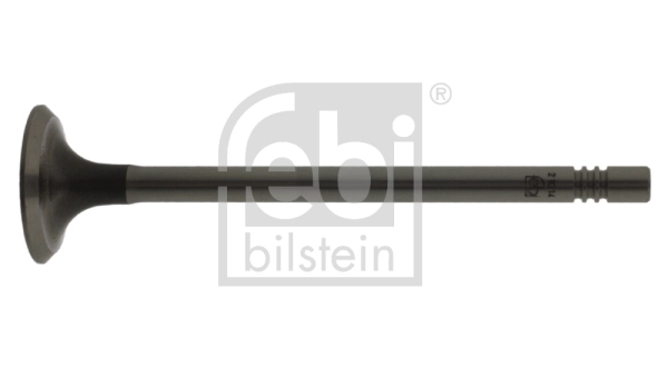 Exhaust Valve